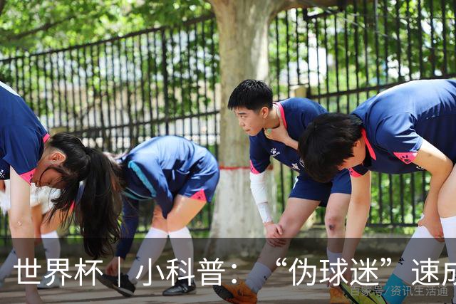 世界杯｜小科普：“伪球迷”速成手册